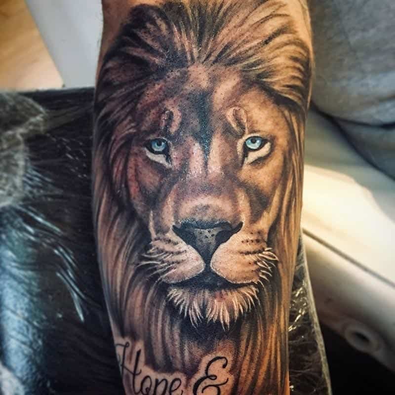 Ink Inn Tattoo Studio - Fern added to British lions tour piece #tattooist  #fusionink #inkjecta #free #loyaltothecoil #ink #maori #newzealand #fern  #besttattooartists #tattoo #tattoosupplies #inked #tattoolife #inkedguys  #inkedgirls #besttattoos ...